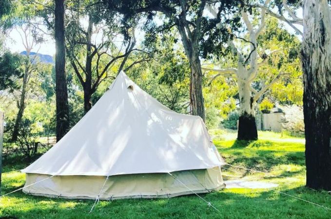 400 Ultimate Sibley400 高級CanvasCamp Sibley 400 Ultimate Pro